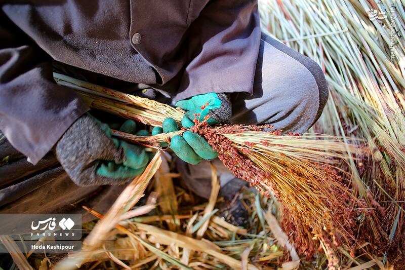 عکس / بابل شهر جاروبافی 8