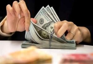 تعیین سقف 33 درصدی پرداخت ارز به بازرگانان برای جلوگیری از انحصار