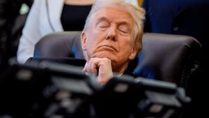 گفت و شنود / گاو خر است!