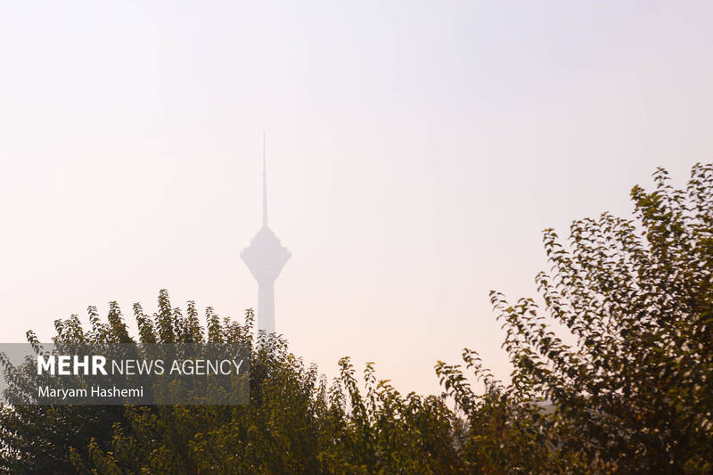 ناسالم،هوا،روز