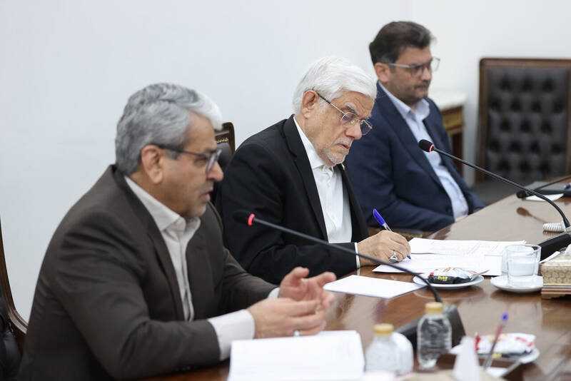 دولت،معاون،لوايح،اجرايي،اقتدار،كارشناسي،وزرا،معاونان،عارف،نخ ...