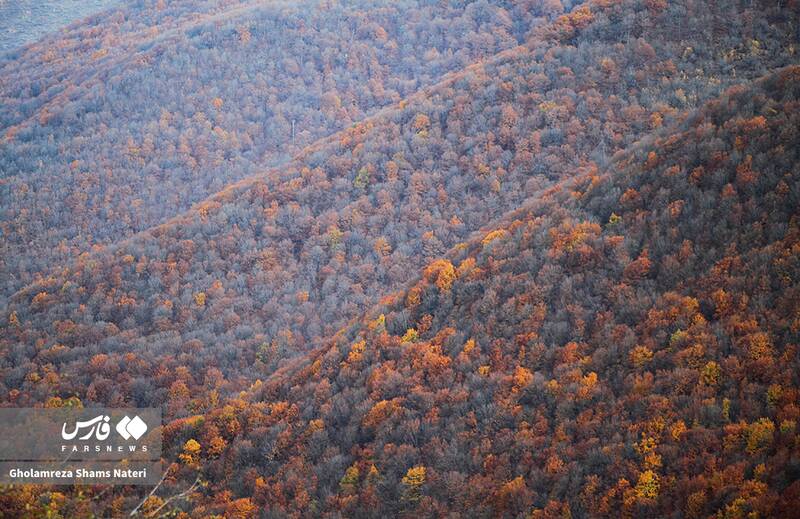 عکس / سمفونی رنگ‌های پاییزی در کوهستان چالوس 20