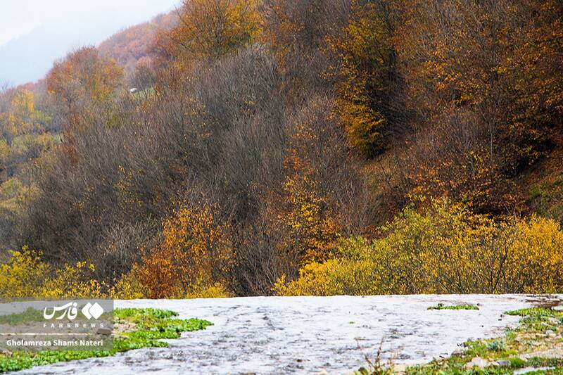 عکس / سمفونی رنگ‌های پاییزی در کوهستان چالوس 18