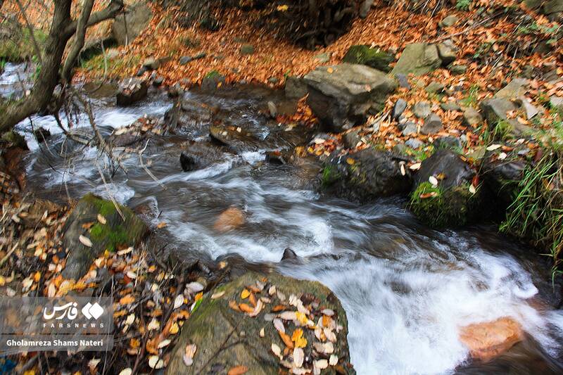 عکس / سمفونی رنگ‌های پاییزی در کوهستان چالوس 15