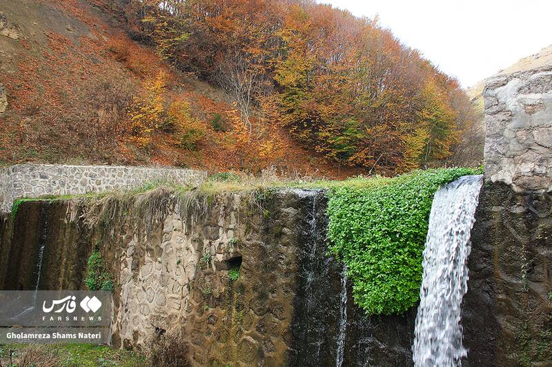 عکس / سمفونی رنگ‌های پاییزی در کوهستان چالوس 13