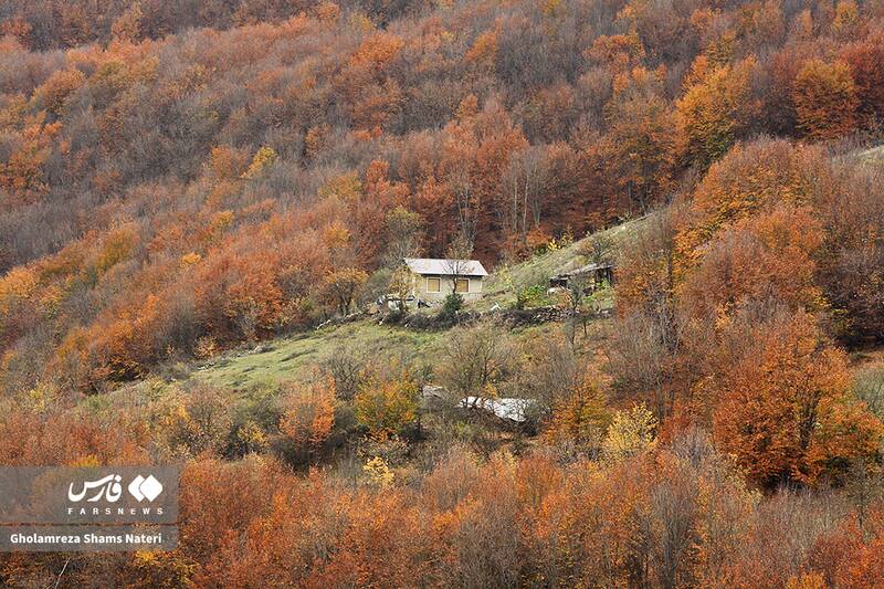 عکس / سمفونی رنگ‌های پاییزی در کوهستان چالوس 12