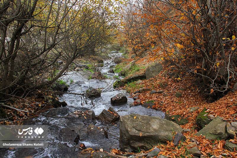 عکس / سمفونی رنگ‌های پاییزی در کوهستان چالوس 10
