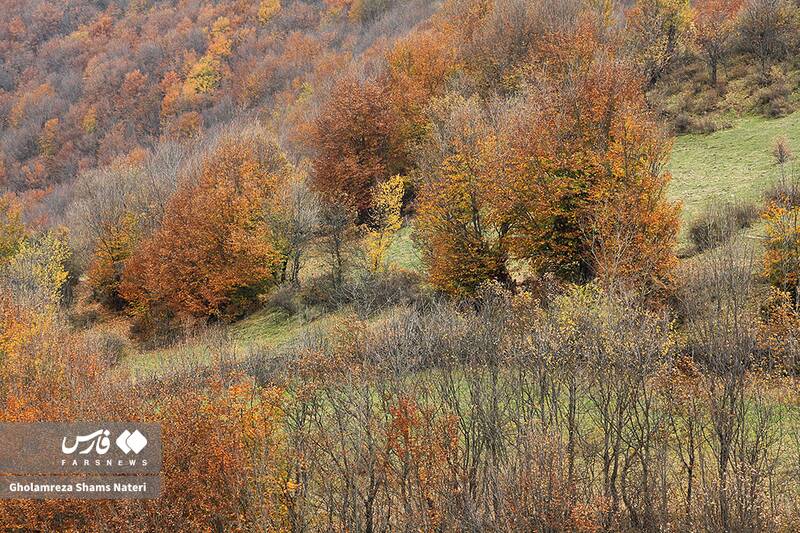 عکس / سمفونی رنگ‌های پاییزی در کوهستان چالوس 8