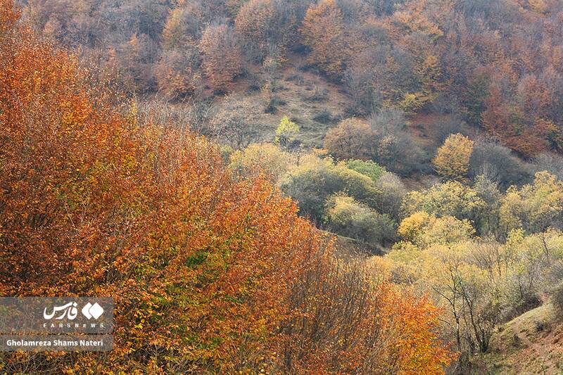 عکس / سمفونی رنگ‌های پاییزی در کوهستان چالوس 2