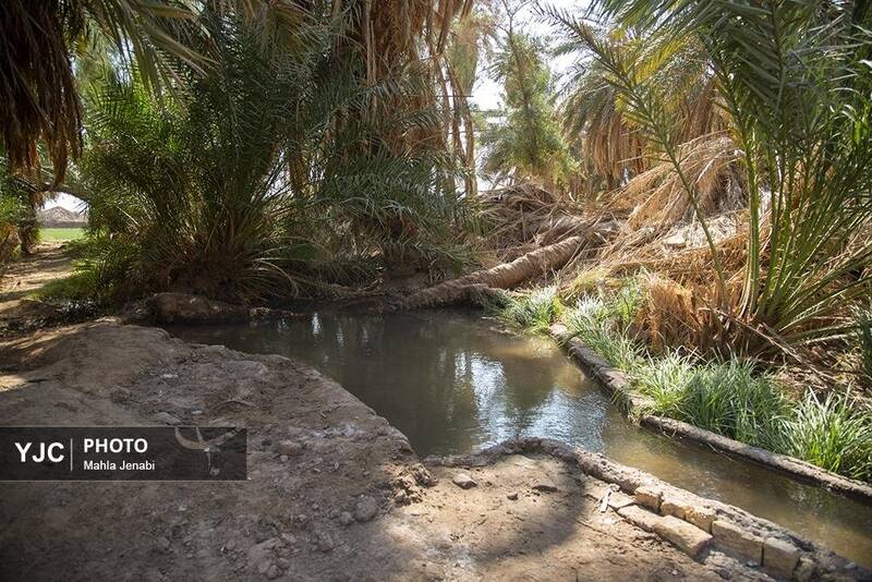 عکس/ این روستای دورافتاده ایرانی، روستای برتر سال ۲۰۲۵ شد