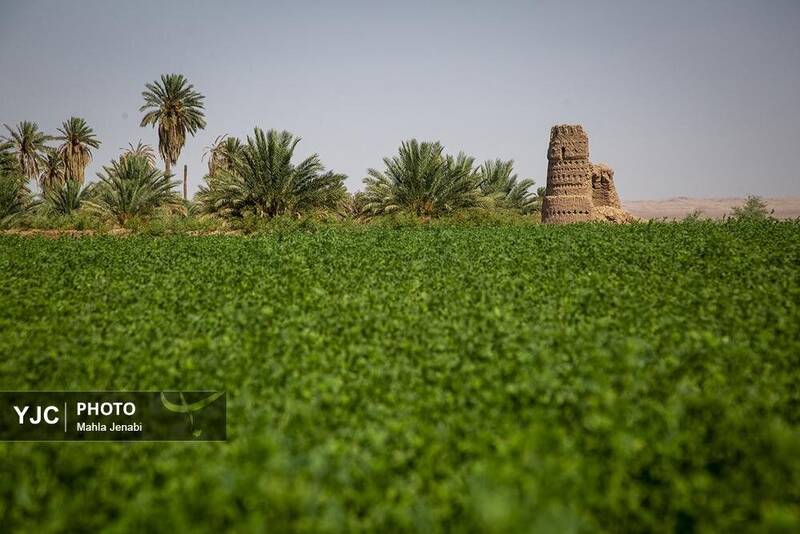 عکس/ این روستای دورافتاده ایرانی، روستای برتر سال ۲۰۲۵ شد