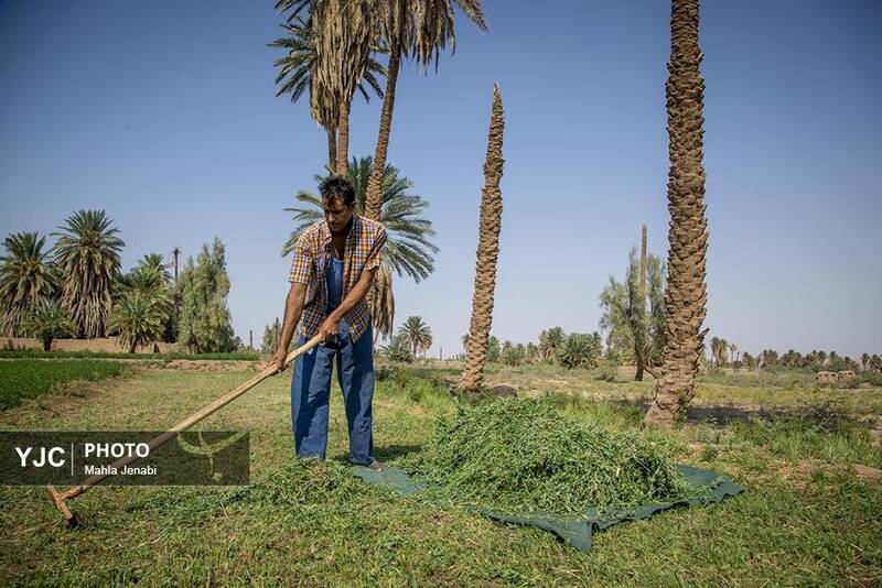 عکس/ این روستای دورافتاده ایرانی، روستای برتر سال ۲۰۲۵ شد