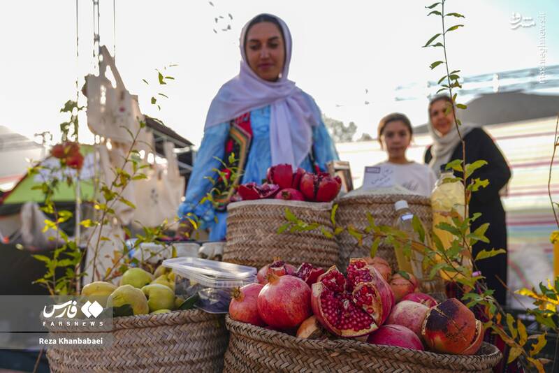 عکس / جشنواره انار نمهیل 15