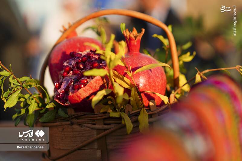 عکس / جشنواره انار نمهیل 16