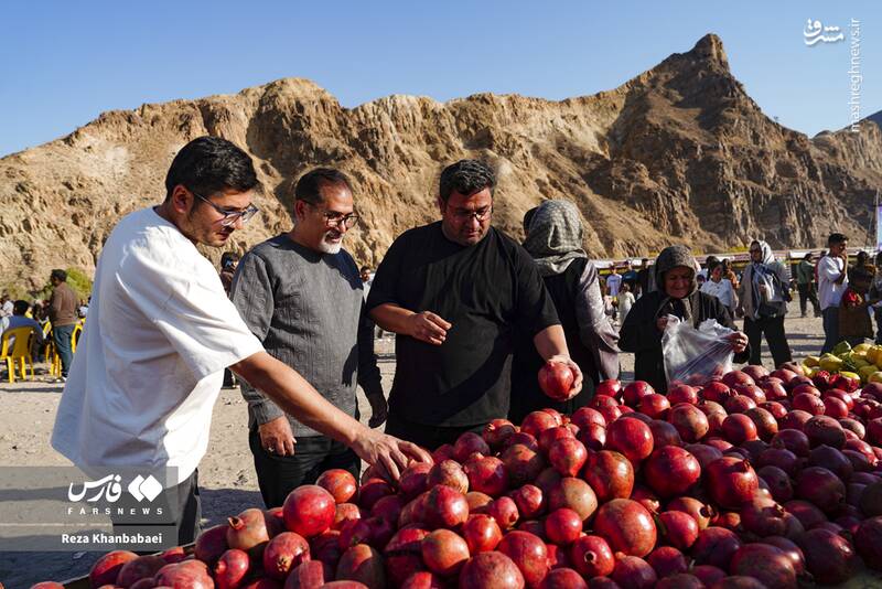 عکس / جشنواره انار نمهیل 17
