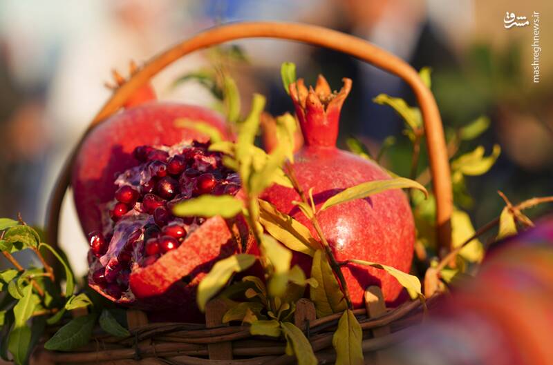 انار،گردشگري،شهرستان