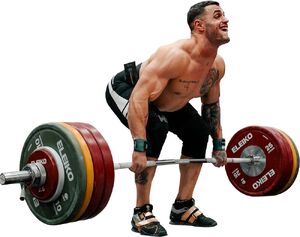 جنگ اعراب برای خریدن اعجوبه بلغاری!