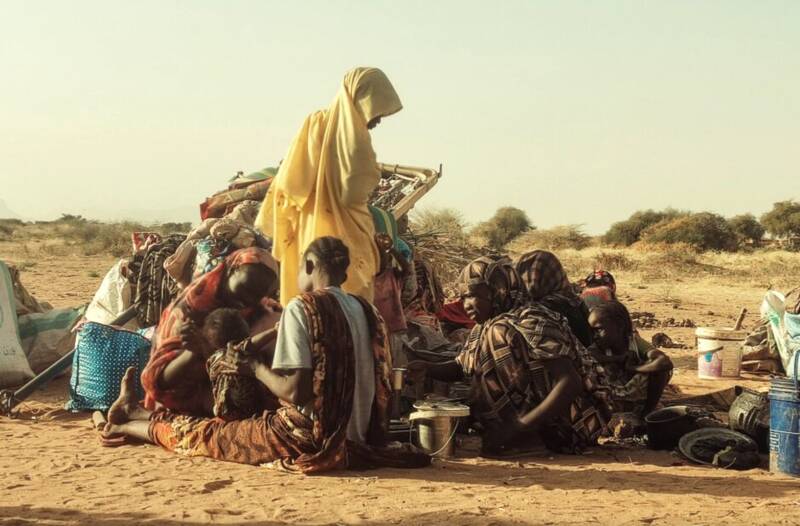 شبكه،نيروها،جنايت،واكنش،سريع،رخ،اقدامات