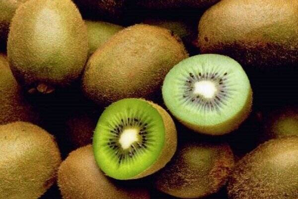 يبوست،•،روز،مدفوع،دفعات،دفع،غذايي،كمك،كيوي،مزمن