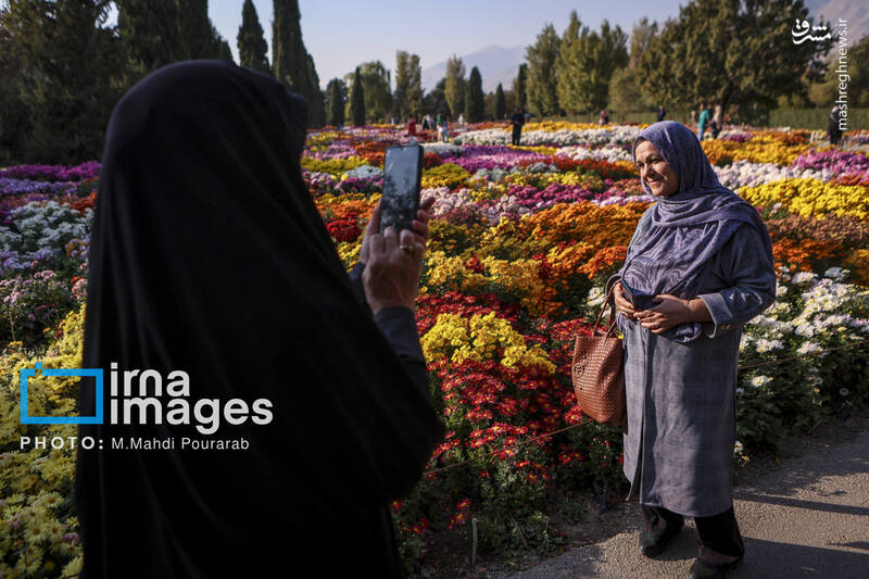 عکس / جشنواره گل‌های داوودی 27