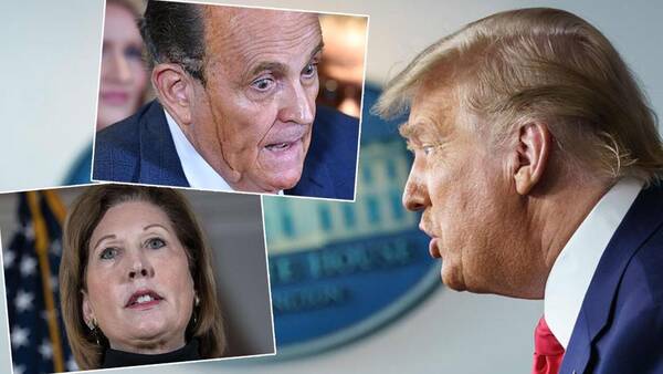 بايدن،انتخابات،عفو،كاخ،سفيد،پيروزي