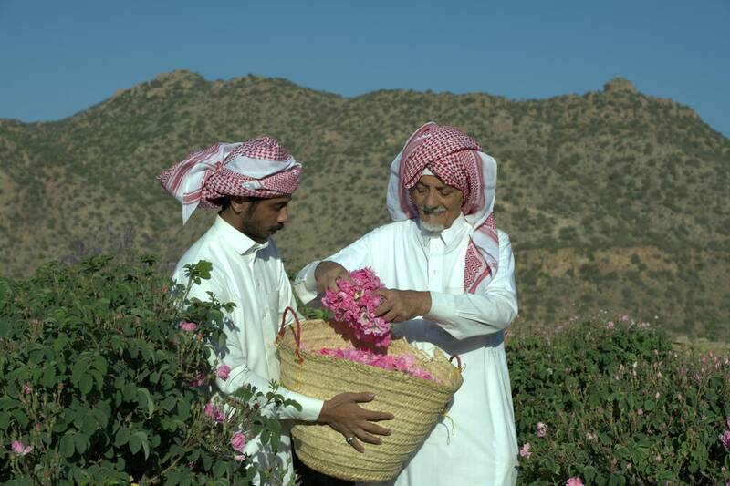 طائف،ميراث،ثبت،عنوان،رز،جهاني،ناملموس،محلي،گل،بهزاد،ايراني،ف ...