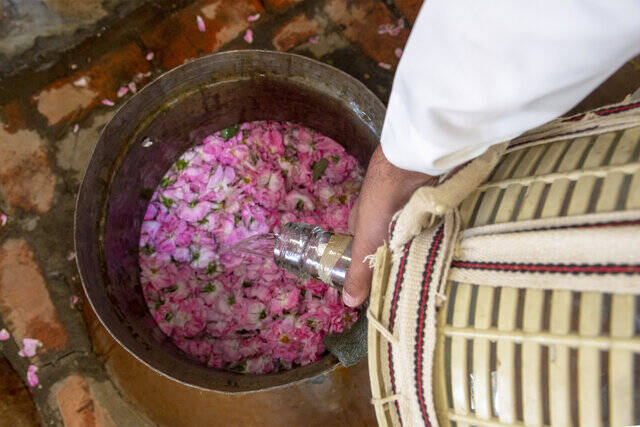 ماجرای خبر «ثبت گل محمدی به‌نام عربستان» چیست؟ 3