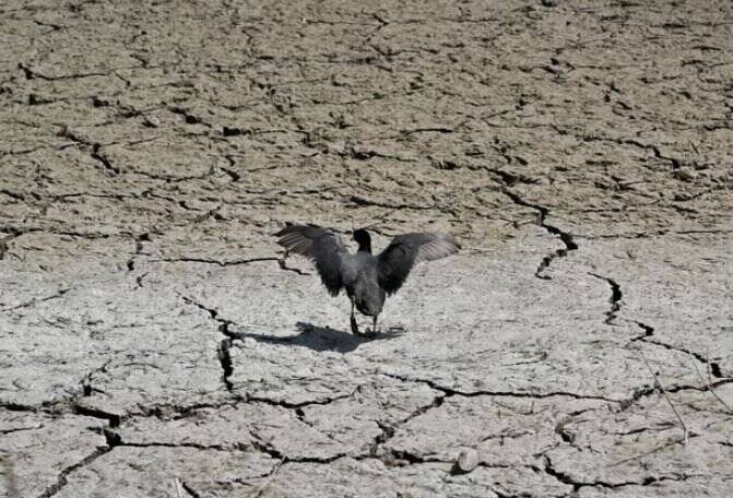 كشور،آب،مديريت،وضعيت،خشكسالي،منابع،سازمان،آبي،كاهش،درياچه،بح ...