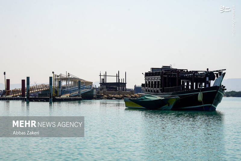 عکس/ جنگل حرا؛ شگفتی سبز قشم