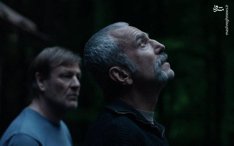 «شقایق»: سقوط یک افسانه در مرداب خودشیفتگی «دی لوییس»/ فیلمی درباره سکوت، که قربانی سکوت خود شد