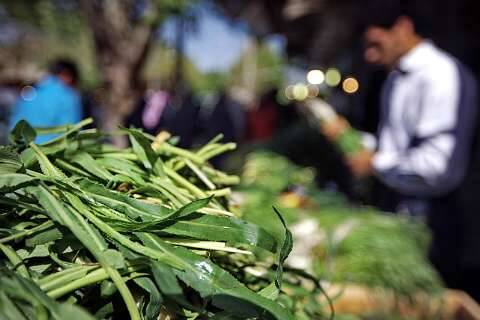 طرز تهیه آش شِنگ لرستان؛ غذایی سرشار از ویتامین