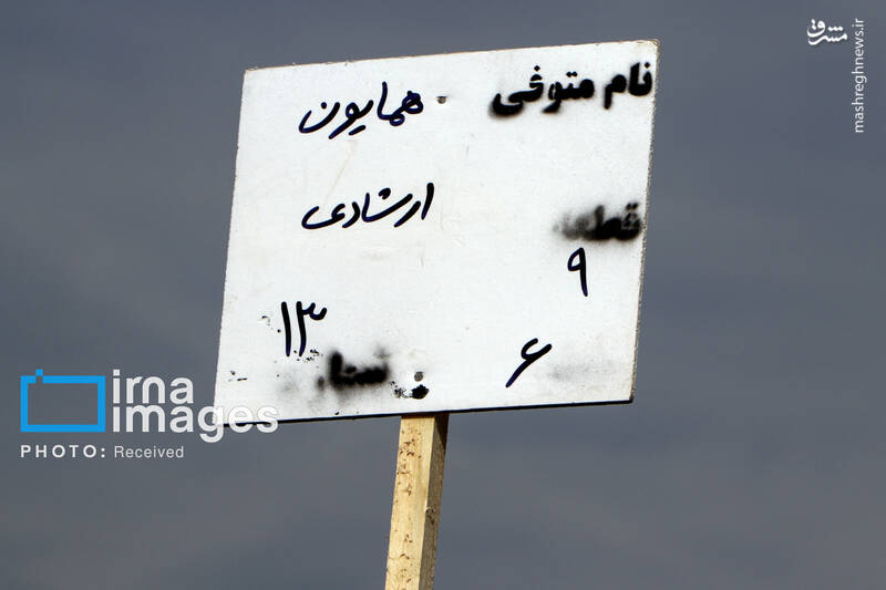 عکس / حضور چهره‌ها در تشییع پیکر "همایون ارشادی" 15