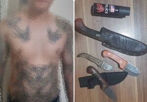 فیلم / دستگیری یکی از مظنونان پرونده درگیری پارک ارم در جوادیه