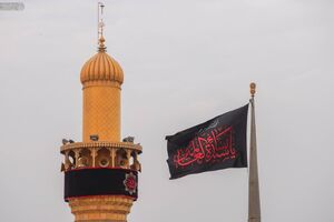 فیلم/ بارش باران پاییزی در حرم امیرالمومنین(ع)