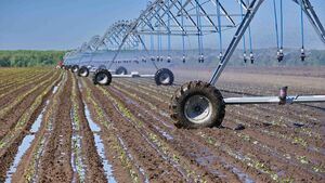 وقتی هر قطره آب طلا می‌شود؛ درس‌هایی برای ایران از آسیای میانه