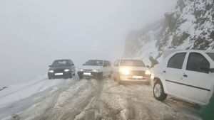 فیلم / برف گردنه "ته‌ته" پاوه را مسدود کرد