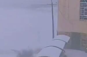 فیلم/ بارش شدید برف در سلماس آذربایجان غربی