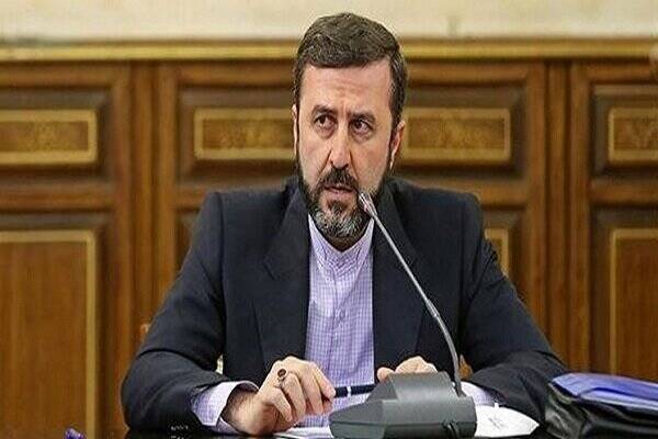 ايران،خارجه،معاون،قاهره،غريب،آبادي