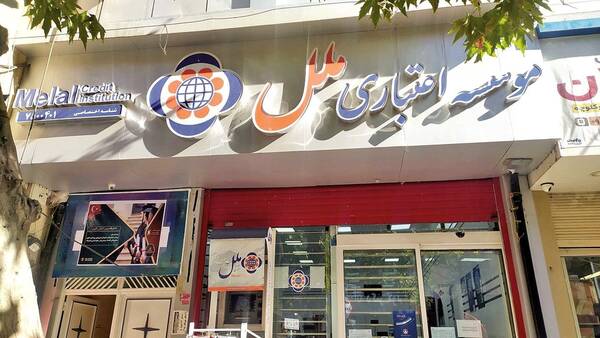 مؤسسه،اعتباري،هيأت،بانك،مركزي،ملل،سرپرستي،منصوب