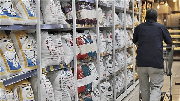 برنج،پاكستاني،توزيع،بنكداران،هندي،قيمت،اصناف،عرضه،تومان