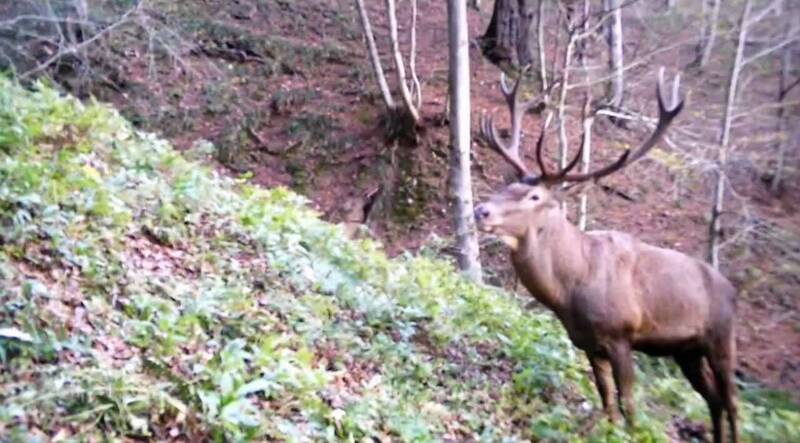 لنگرود،شهرستان