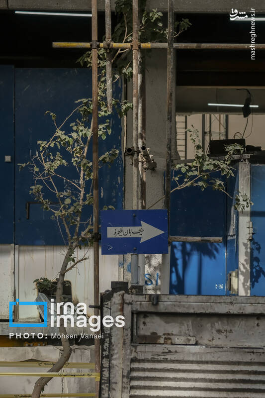 عکس / پاییز بی‌رنگ پایتخت 18