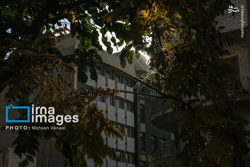 عکس / پاییز بی‌رنگ پایتخت