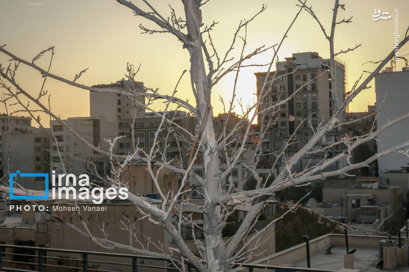 عکس / پاییز بی‌رنگ پایتخت 19