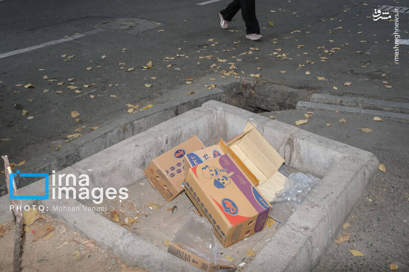 عکس / پاییز بی‌رنگ پایتخت 13