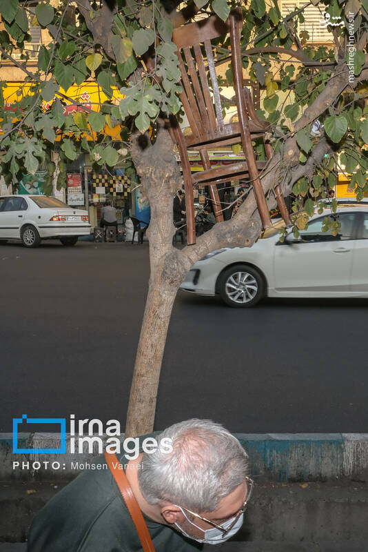 عکس / پاییز بی‌رنگ پایتخت 8