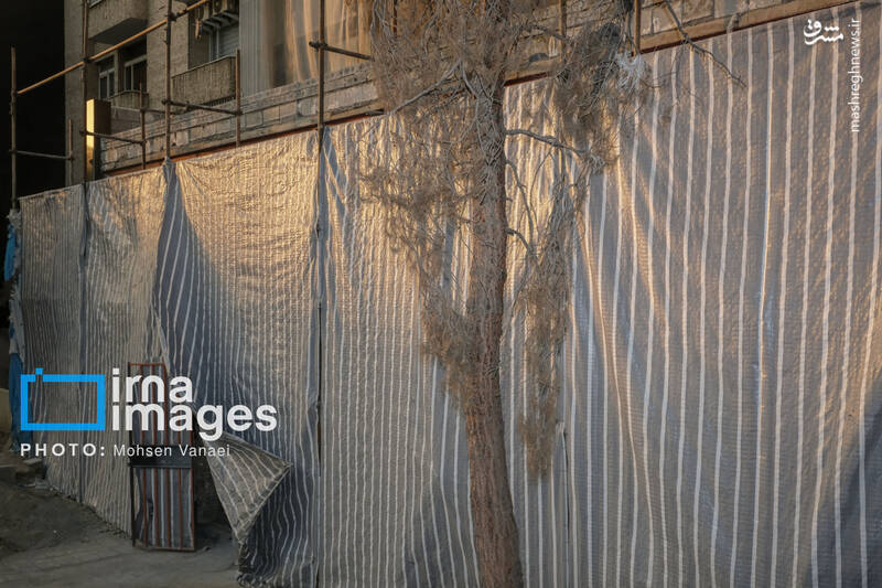 عکس / پاییز بی‌رنگ پایتخت 5