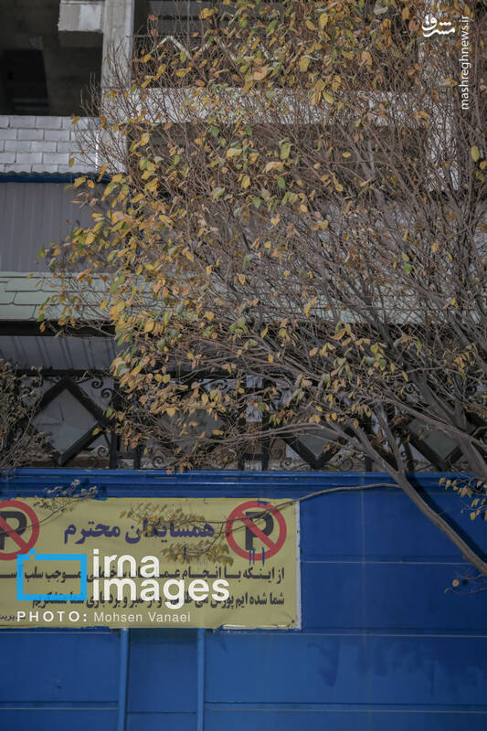 عکس / پاییز بی‌رنگ پایتخت 4