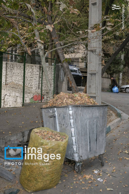 عکس / پاییز بی‌رنگ پایتخت 2