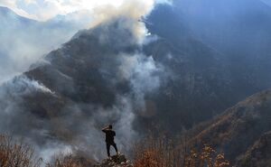عکس/ آتش‌سوزی جنگل‌های روستای الیت چالوس